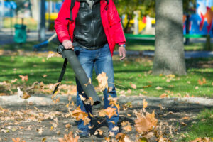 Can Electric Leaf Blower Cause Tinnitus