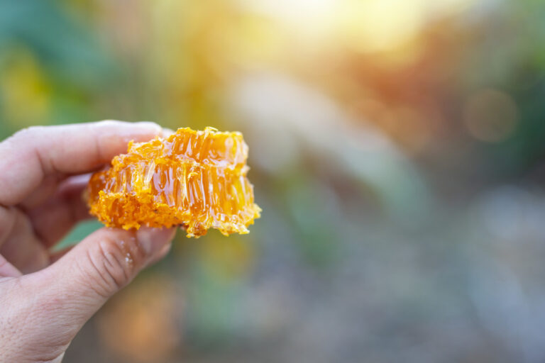 Honey Trick to Last Longer in Bed