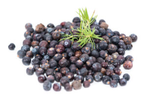 Juniper Weight Loss